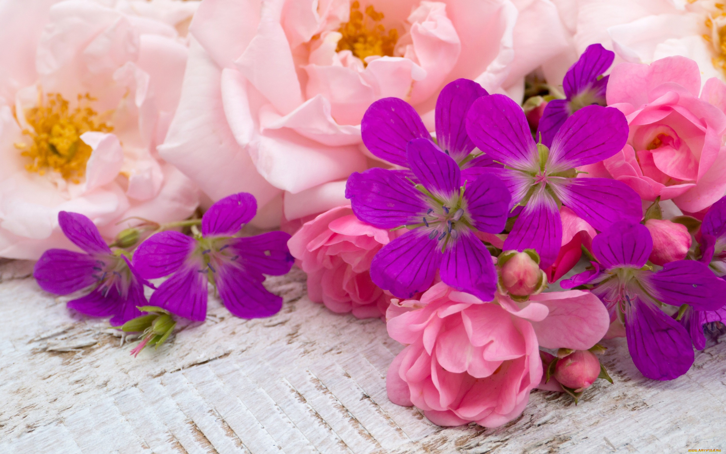 ,  , , , wood, bud, pink, flowers